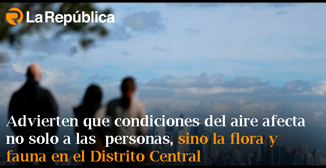 Advierten que condiciones del aire afecta no solo a las  personas, sino la flora y  fauna en el Distrito Central - Cover Image